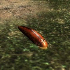 Worm